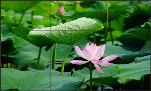 液晶拼接屏保养方法有哪些？